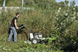 Lifestyle: ETESIA Wiesenmäher Attila AH75 Schnittbreite 75 cm, 7,3 kW (9,9 PS)