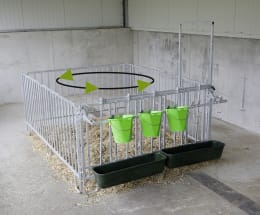 Lifestyle: KERBL Aufstallset für Kälber bis zur 8. Lebenswoche