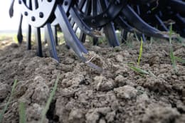 Lifestyle: Pöttinger Hackgerät Rotocare