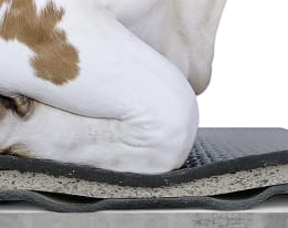 ART_AdditionalAssets_07