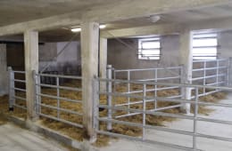 Lifestyle: Abtrennung für Milchviehstall, Kälberstall, Jungviehstall, Bullenstall