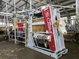 Lifestyle: ROSENSTEINER Klauenpflegestand Red 5