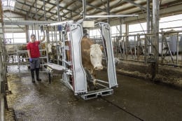 Lifestyle: ROSENSTEINER Klauenpflegestand Red 5