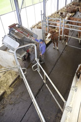 Lifestyle: ROSENSTEINER Klauenpflegestand Kipp Top II
