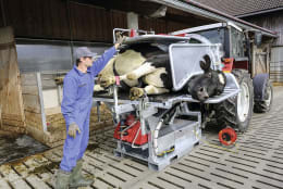 Lifestyle: ROSENSTEINER Klauenpflegestand Kipp Top II