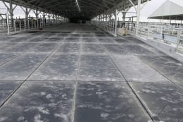 Lifestyle: Kraiburg Stallmatte KURA Flex