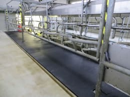 Lifestyle: Kraiburg Stallmatte KURA Flex
