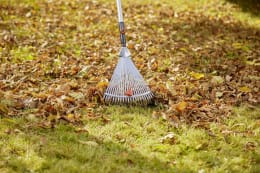 Lifestyle: GARDENA combisystem Verstellbesen