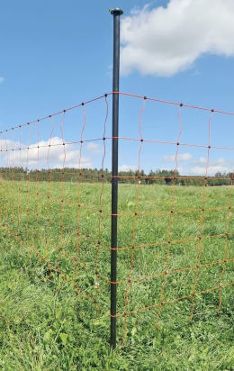 Lifestyle: Unterstützungspfahl mit Einzelspitze stabilisiert Weidenetz auf grüner Weide