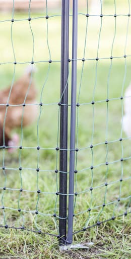 Lifestyle: Unterstützungspfahl mit Einzelspitze stabilisiert grünes Weidenetz auf der Weide