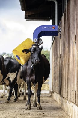 Lifestyle: DeLaval Kuhbürste SCB 3.1