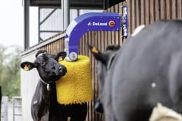 Lifestyle: DeLaval Kuhbürste SCB 3.1