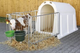Lifestyle: KERBL Kälberiglu CalfHouse PE UV+ für 1 Kalb, mit Umzäunung