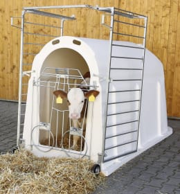 Lifestyle: KERBL Kälberiglu CalfHouse PE UV+ für 1 Kalb, mit Umzäunung