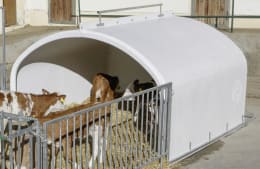 Lifestyle: KERBL Kälberiglu CalfHouse Premium XXL für 7 Kälber