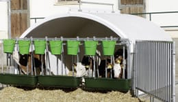 Lifestyle: KERBL Kälberiglu CalfHouse Premium XXL für 7 Kälber