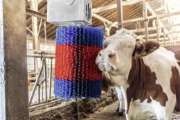 Lifestyle: HappyCow Kuhputzmaschine MidiSwing Borstenbesatz PP (Polypropylen)