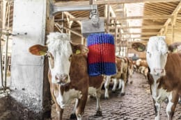 Lifestyle: HappyCow Kuhputzmaschine MidiSwing Borstenbesatz PP (Polypropylen)