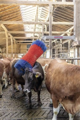 Lifestyle: HappyCow Kuhbürste HappyCow Free Maxi
