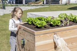 Lifestyle: Schneckenzaun SnailStop schützt Hochbeet mit Salat vor Schnecken, Kind im Garten