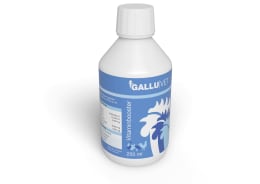 Produktbild: GALLUVET Vitaminbooster flüssige Vitaminergänzung, Vitamine für Hühner und Geflügel