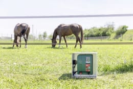 Lifestyle: Ako Weidezaungerät Mobil Power AN 4000 12 V