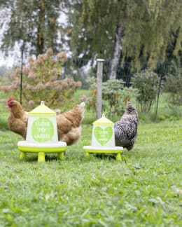 Produktbild: KERBL Futterautomat für Geflügel mit grünen Standfüßen und Aufdruck I LOVE MY LADIES