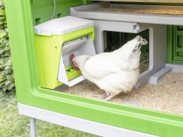 Lifestyle: SmartCoop Futterautomat mit Geflügeltränke 7,5 kg, 10 l, für Hühner