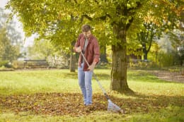 Lifestyle: Mann recht Herbstlaub im Garten mit Fächerbesen an Holzstiel