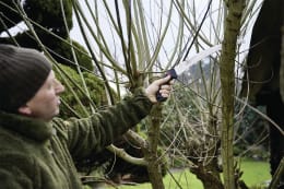 Lifestyle: Silky Handsäge Zübat 330-7,5 Länge Sägeblatt 330 mm, mit gummiertem Pistolengriff