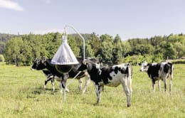 Lifestyle: KERBL Bremsenfalle TaonX