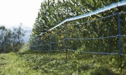 Lifestyle: Ako Wildzaun WildNet 90 cm/50 m, stromführend