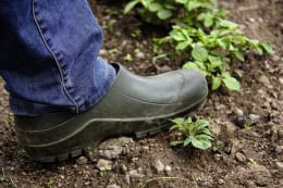 Lifestyle: Person trägt olivgrüne nora Gartenschuhe Comfy bei der Gartenarbeit auf Erdboden