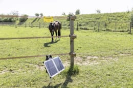 Lifestyle: Ako Weidezaungerät Sun Power S3000 12 V