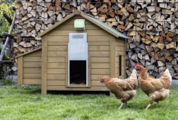 Lifestyle: KERBL Türöffner Basic mit Seilzug für automatische Hühnerklappe