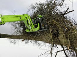 Produktbild: Heizomat Greifzange an Baggerarm greift Busch- und Strauchwerk im Einsatz