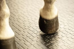 ART_AdditionalAssets_07