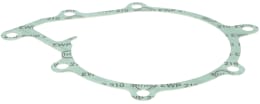 Produktbild: Fendt Flachdichtung, Wasserpumpe Xylon 500
