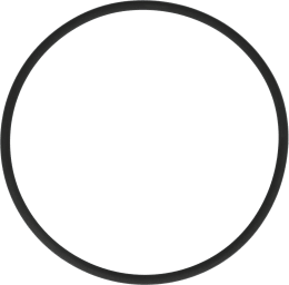Produktbild: Rau O-Ring 94,85 x 3,53 mm Viton®, für Becher Filterhahn Feldspritze