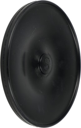 Produktbild: Rau Membrane MB 121-5 für Pumpe P 2020 W Spritze