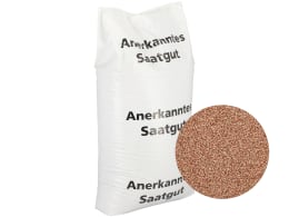 Produktbild: Roggensaatgut in weißem Sack mit Detailansicht der Körner