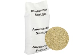Produktbild: Wintergerste Saatgut Sandra ZS ungebeizt 50 kg Sack zweizeilige Futtergerste
