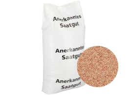 Produktbild: Gerstensaatgut in weißem Sack mit Detailansicht der Körner