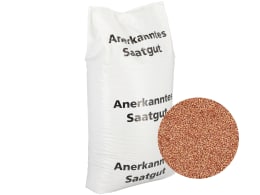 Produktbild: Triticale Saatgut in weißem Sack mit Detailansicht der Körner