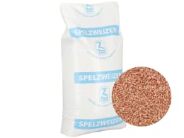 Produktbild: Dinkel-Saatgut im Spelz, 25 kg Sack mit Detailansicht der Körner