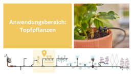 Detailbild: Tropfbewässerung für Topfpflanzen mit Endtropfer in Blumentopf