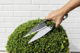 Lifestyle: Berger Schafschere Länge Schneide 155 mm