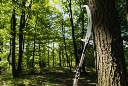 Lifestyle: Berger Teleskopstange ArboRapid 1,75 – 5,90 m, 4 Segmente, Aluminiumrohre, für Höhen bis 8 m, 75900