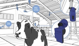 Lifestyle: DeLaval Verhaltensanalysesystem BA
