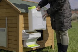 Lifestyle: Person befüllt Geflügeltränke am Hühnerstall
